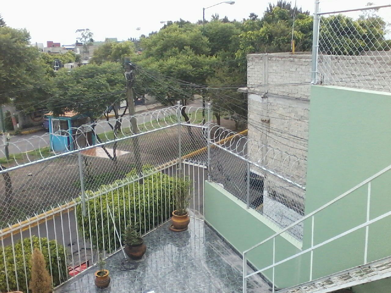 Concerpua